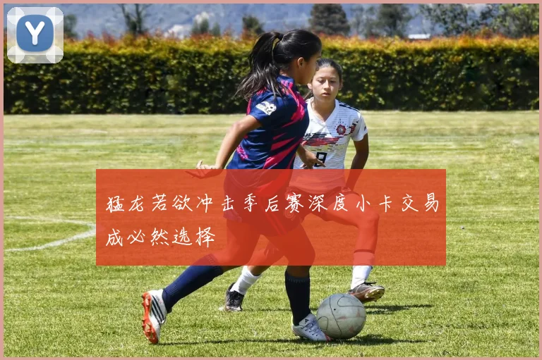 猛龙若欲冲击季后赛深度小卡交易成必然选择