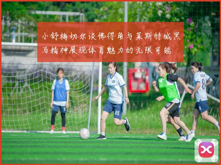 小舒梅切尔谈佛得角与莱斯特城黑马精神展现体育魅力的无限可能